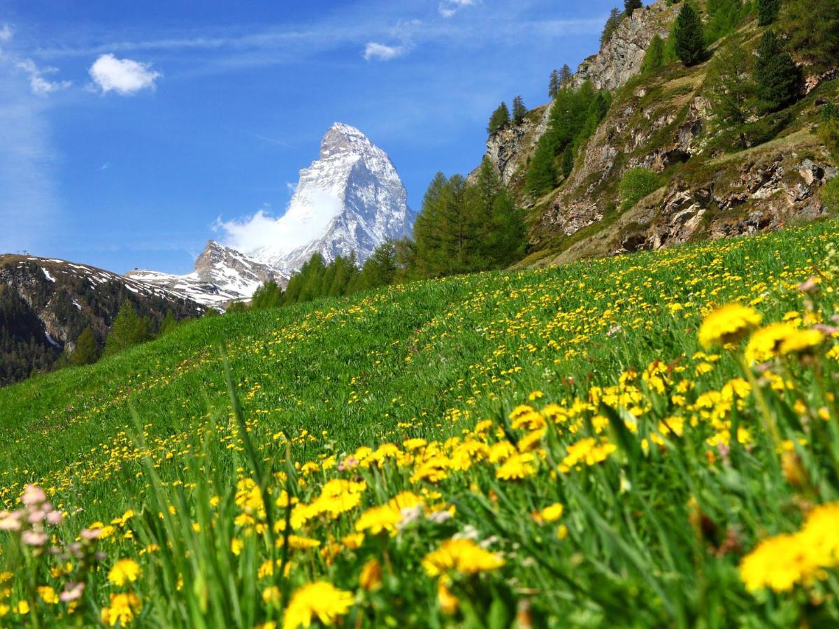 Apartment Monazit Zermatt Esterno foto